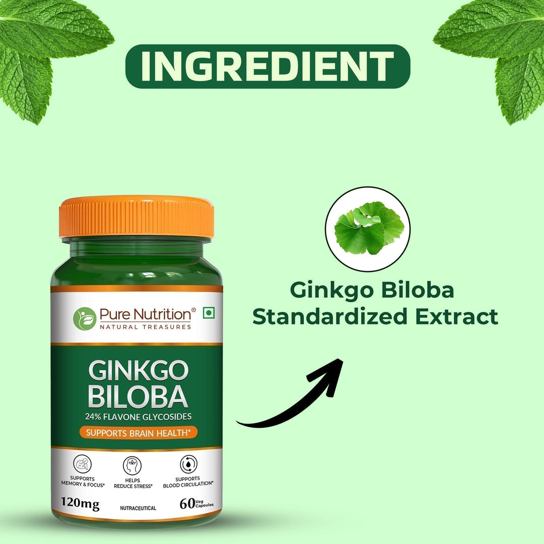 Ginkgo Biloba 120mg Cognitive Wellness, Focus & Circulation Support