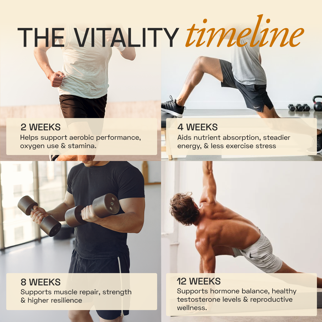 Ace Blend TRUBLK Shilajit  Sticks