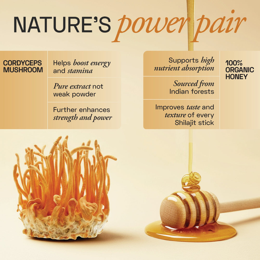 Ace Blend TRUBLK Shilajit  Sticks