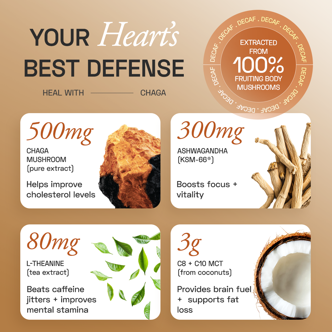 Ace Blend Chaga Shroom Coffee (Decaf)