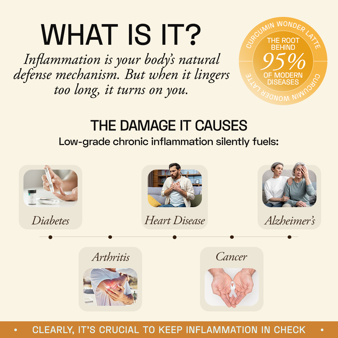 Ace Blend Curcumin Wonder Latte