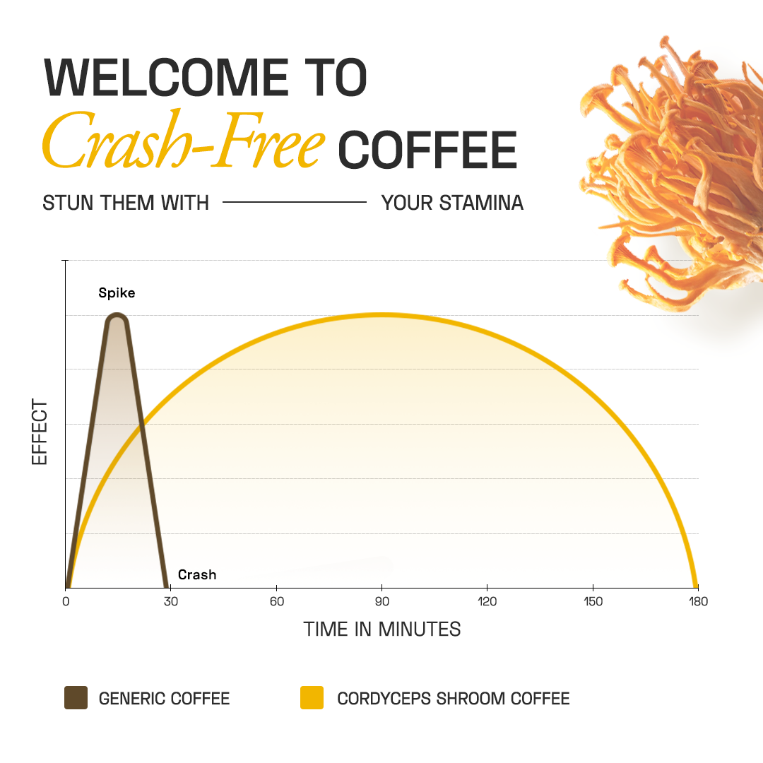 Ace Blend Cordyceps Shroom Coffee