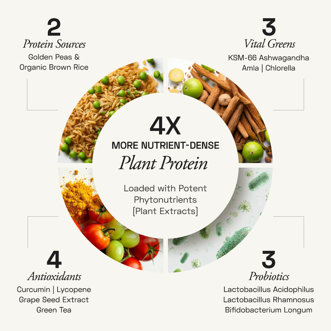Ace Blend Premium Plant Protein | Daily