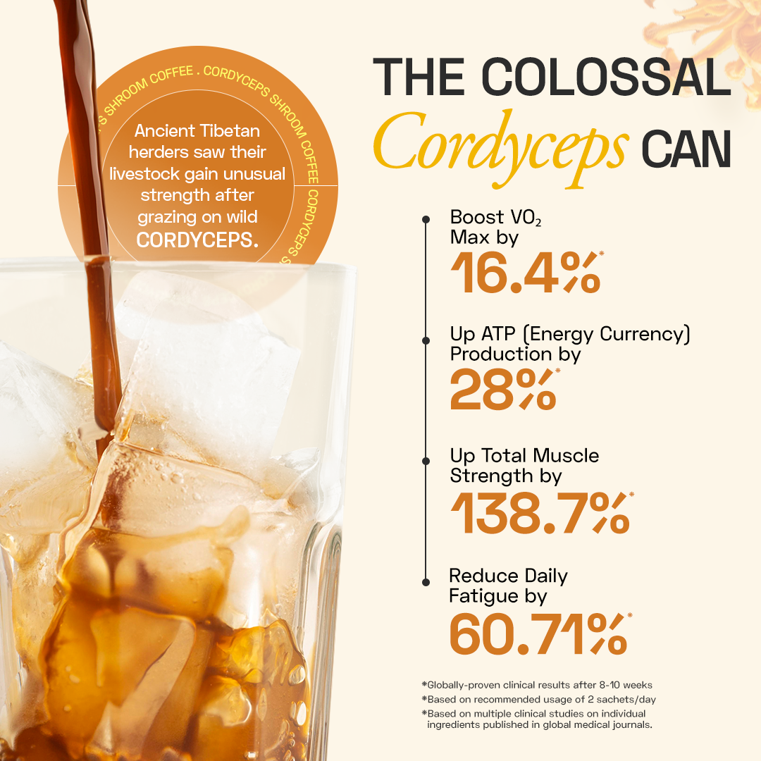 Ace Blend Cordyceps Shroom Coffee