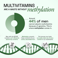 Ace Blend Men's Methylated Multivitamin