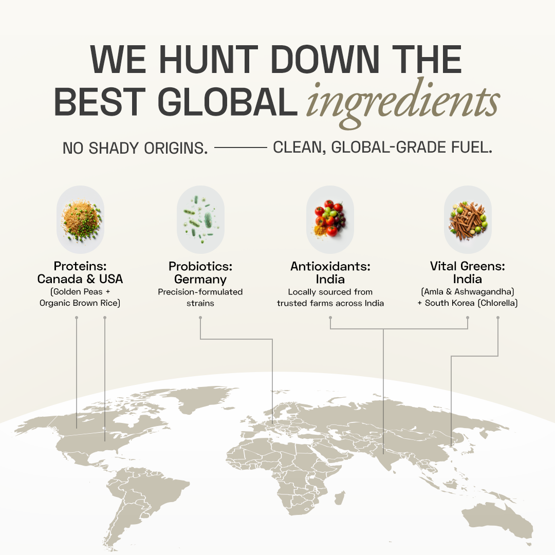 Ace Blend Premium Plant Protein | Daily