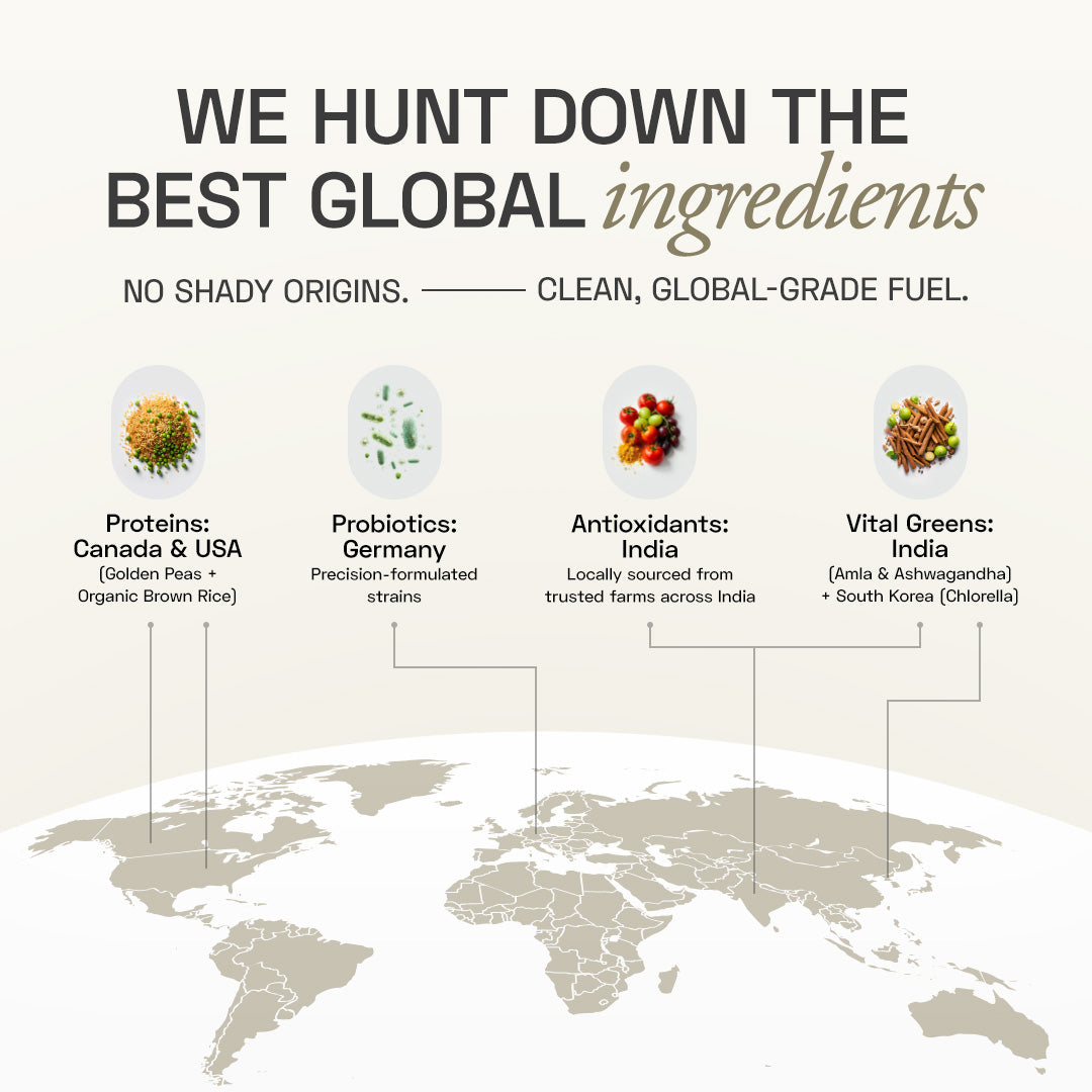 Ace Blend Premium Plant Protein | Daily