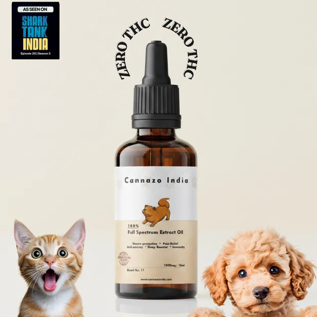 CannazoIndia Cannazo India Pet CBD Oil | Cbd Oil for Dogs and Cats | THC-Free | AYUSH-Approved