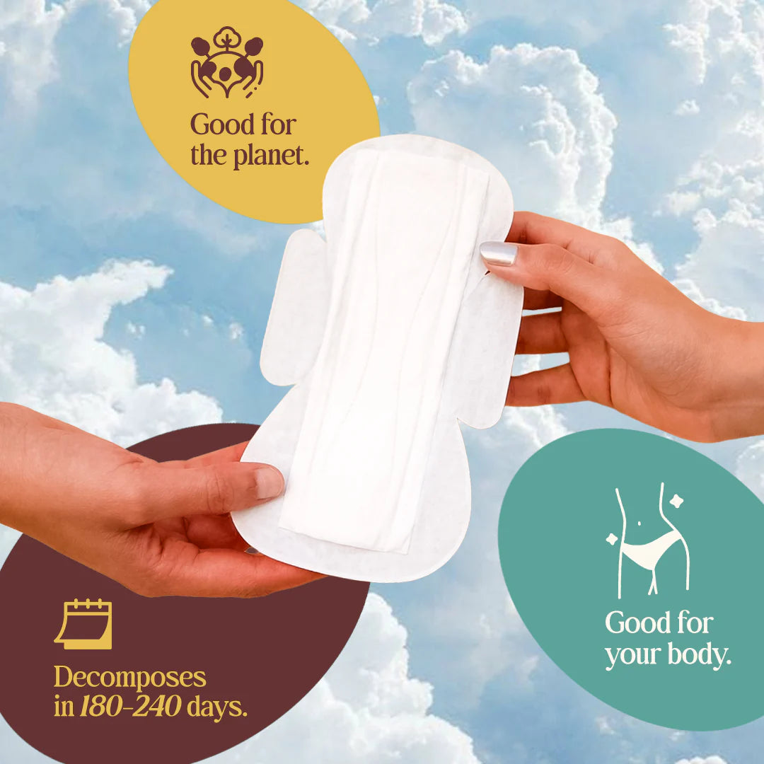 Medium Flow Menstrual Pad (Pack of 36)