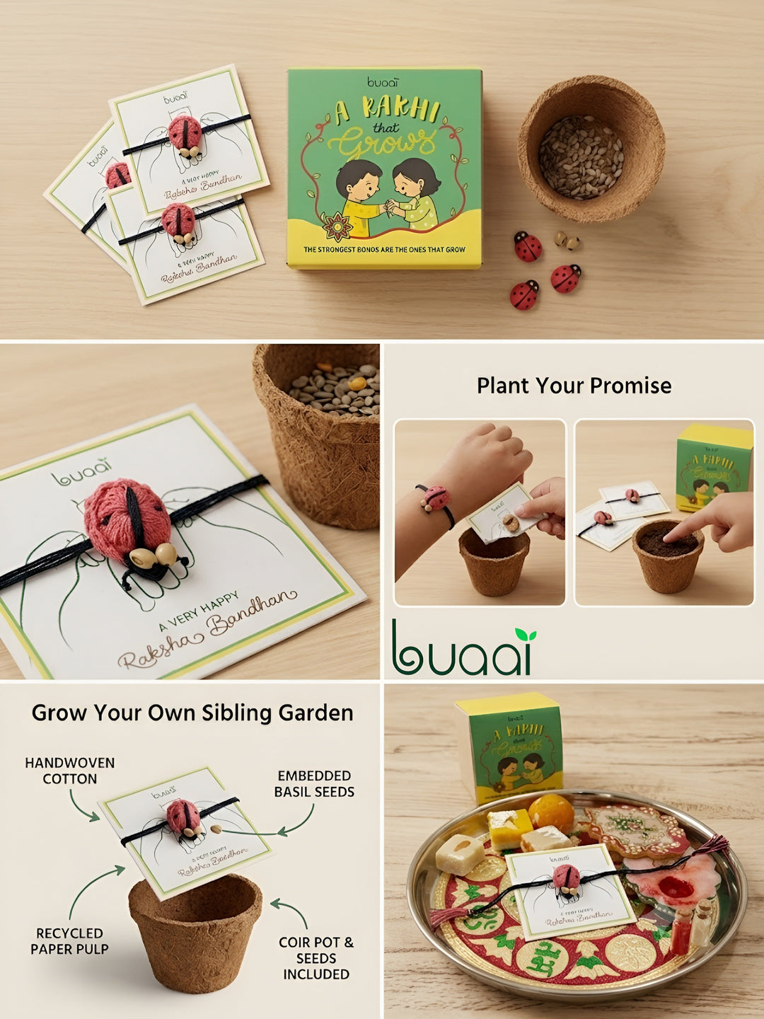 Ladybug Plantable Rakhi Grow Kit