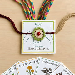 Flower Plantable Rakhi Grow kit