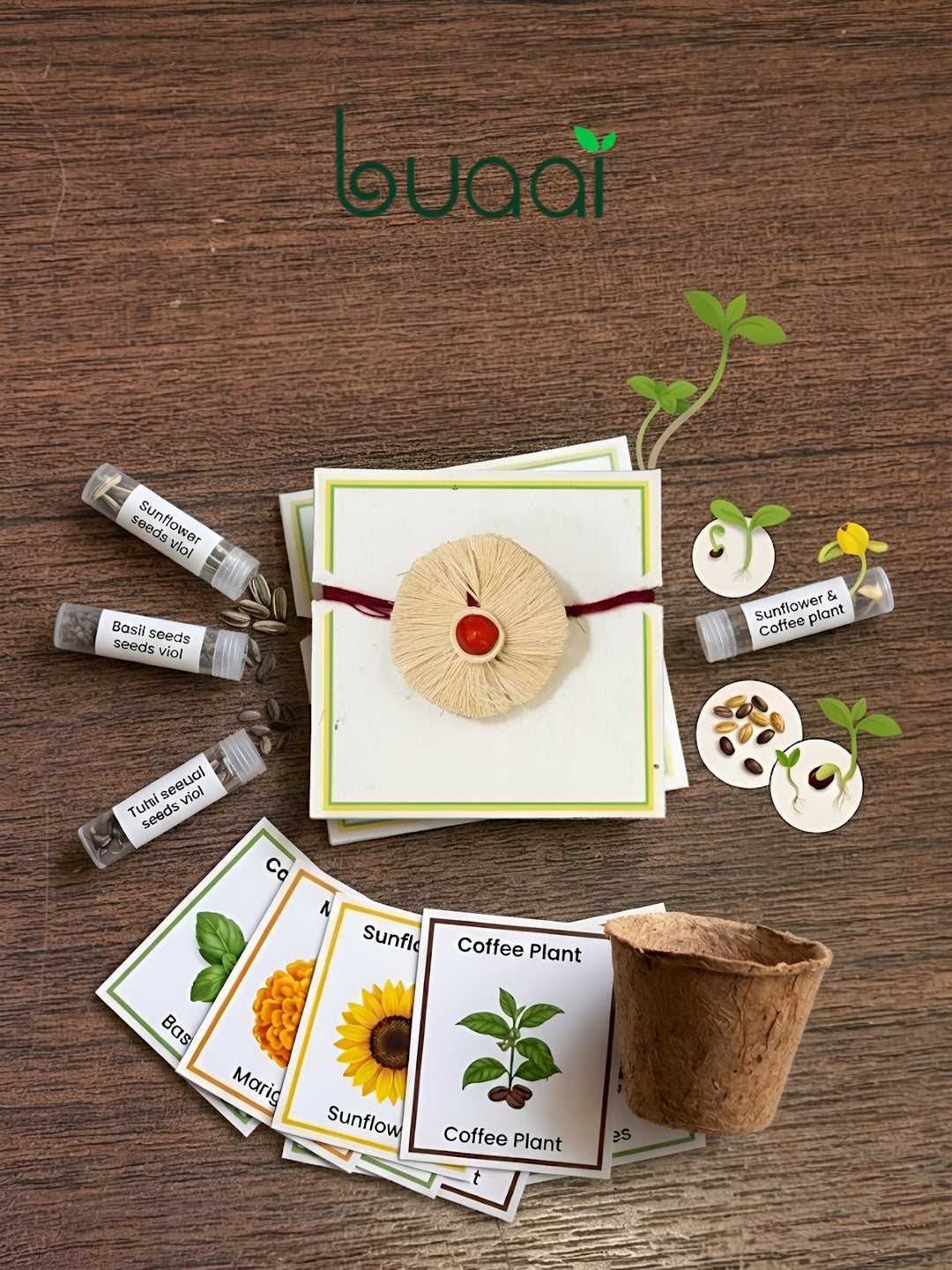 Bloom Plantable Rakhi Grow Kit