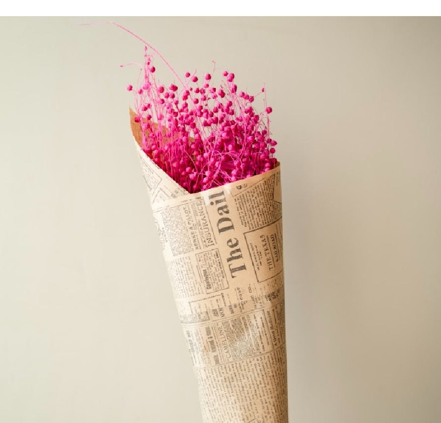 Pink Flax Dried Flowers | Aesthetic Home Decor