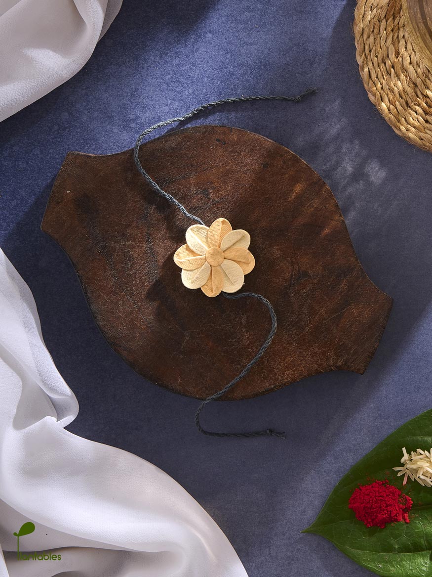 Plantables Pinwheel Rakhi Combo