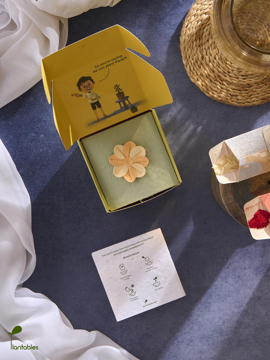 Plantables Pinwheel Rakhi Combo