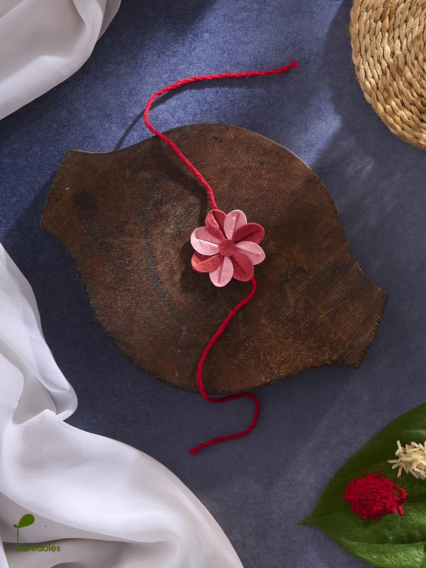 Plantables Pinwheel Rakhi Combo