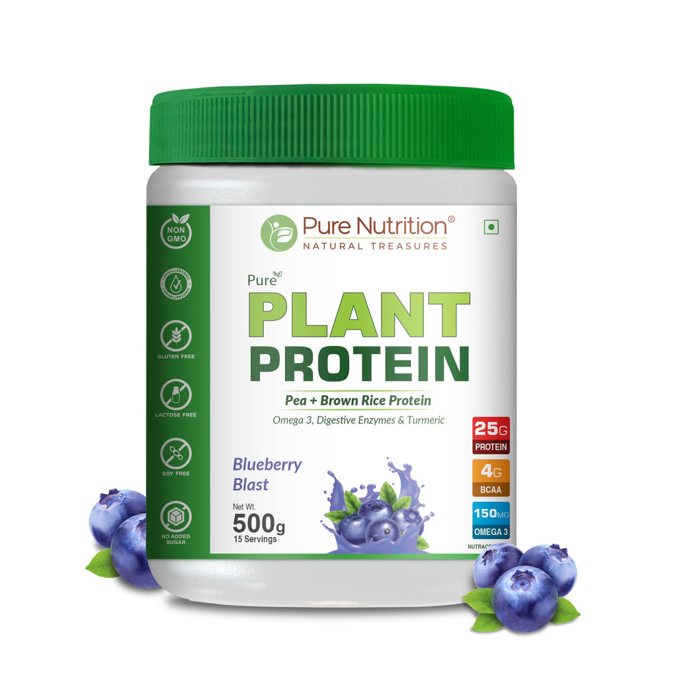 Vegan Protein Blueberry Blast Plant-Based Protein (500g)