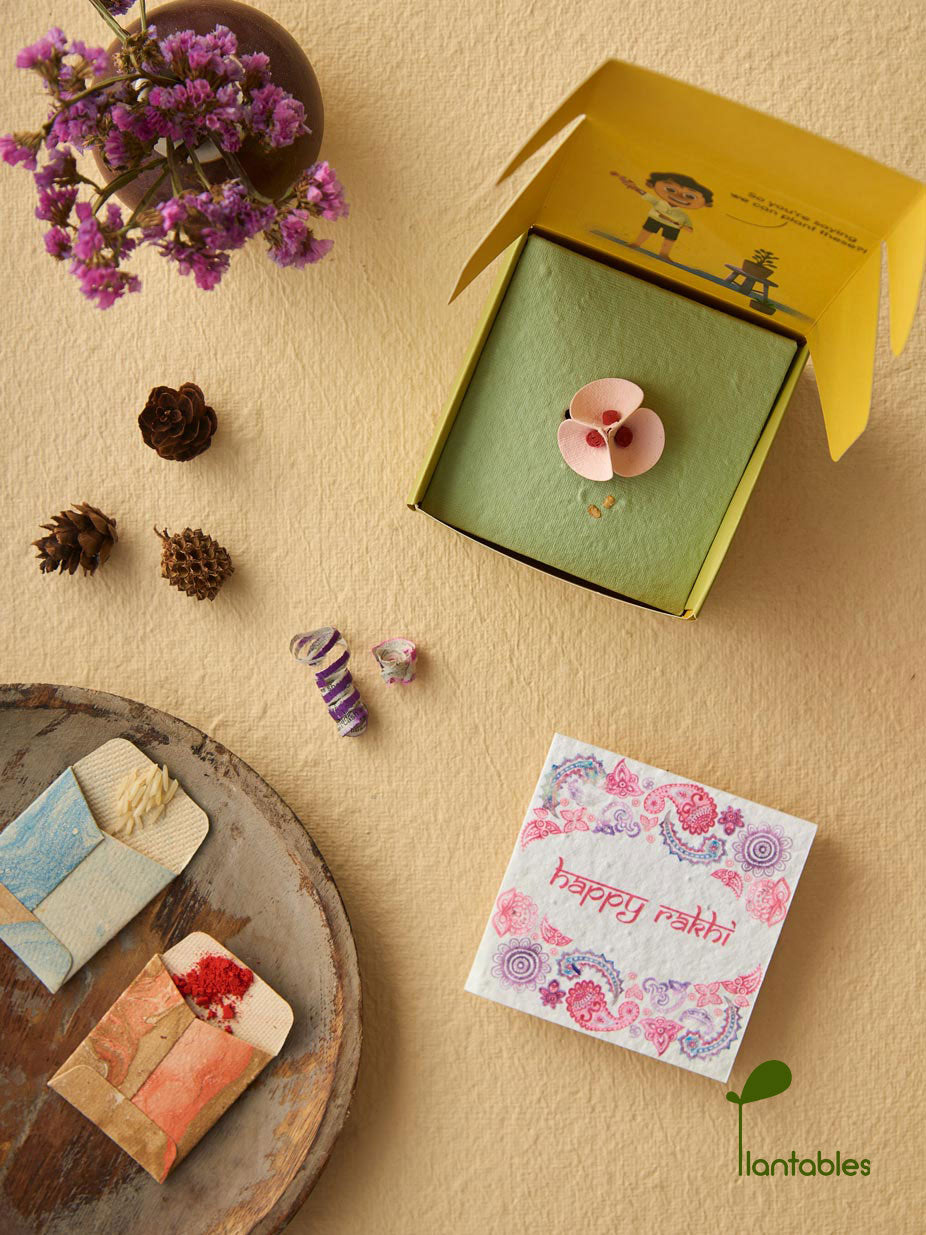 Plantables Pretty Pansy Rakhi Combo