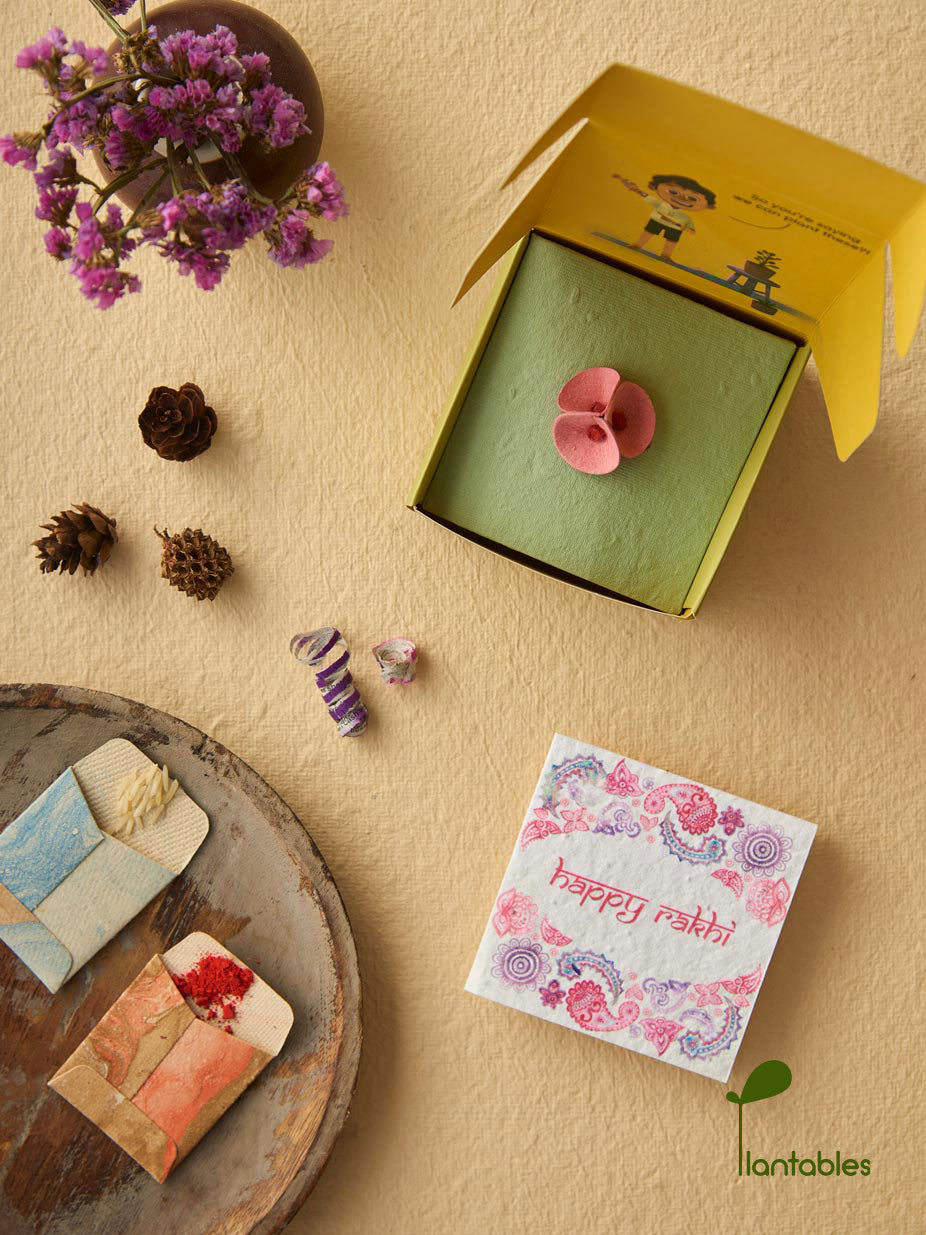 Plantables Pretty Pansy Rakhi Combo