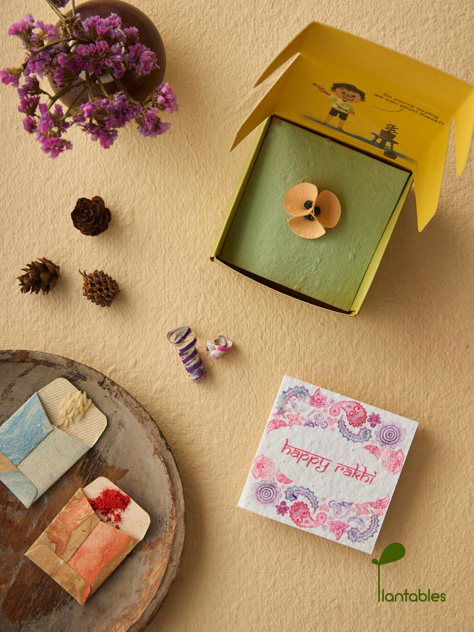 Plantables Pretty Pansy Rakhi Combo