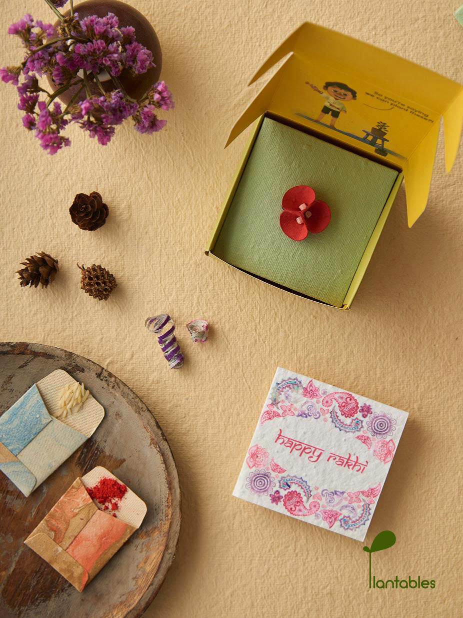Plantables Pretty Pansy Rakhi Combo