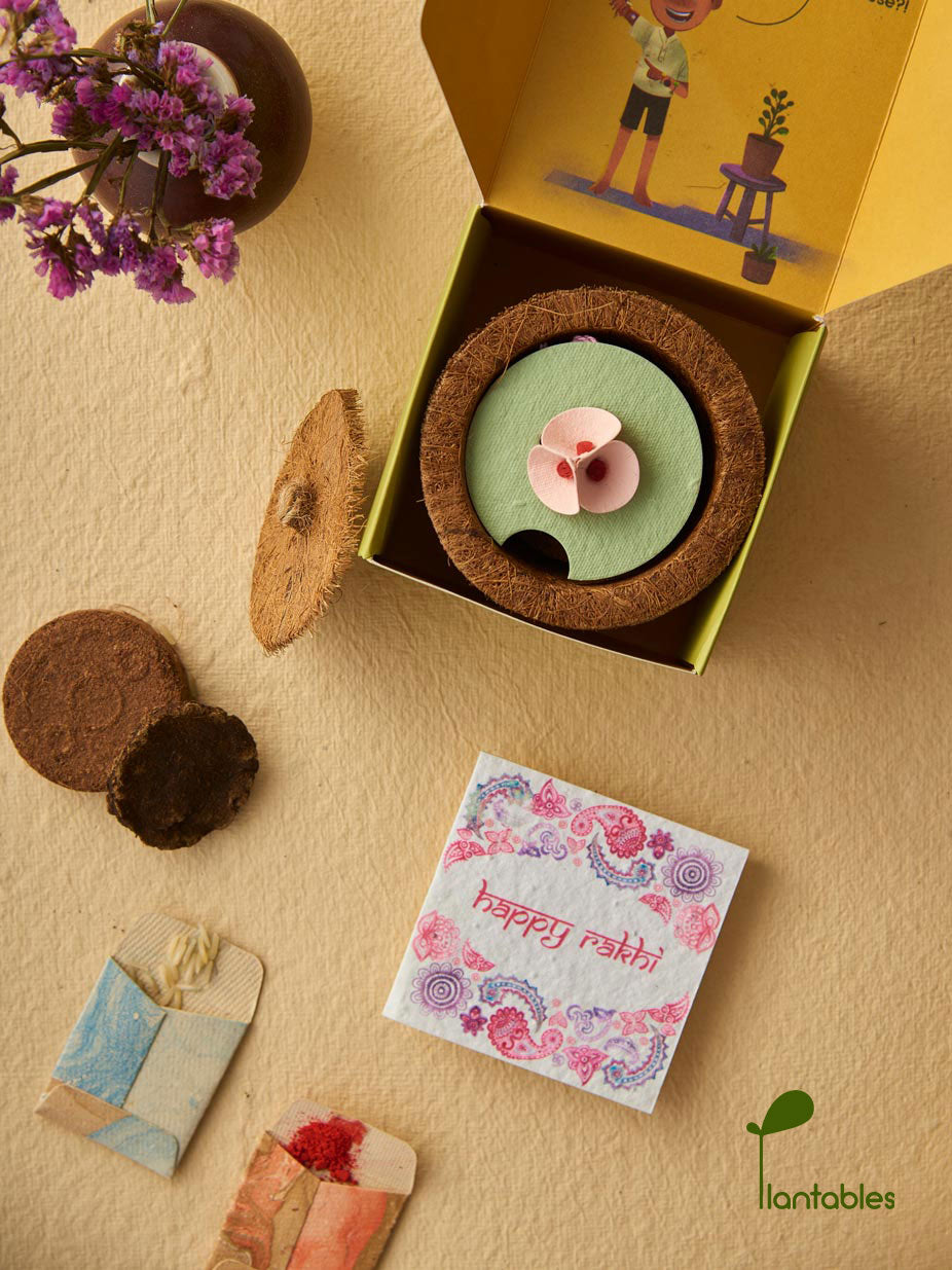 Plantables Pretty Pansy Rakhi Planting Kit