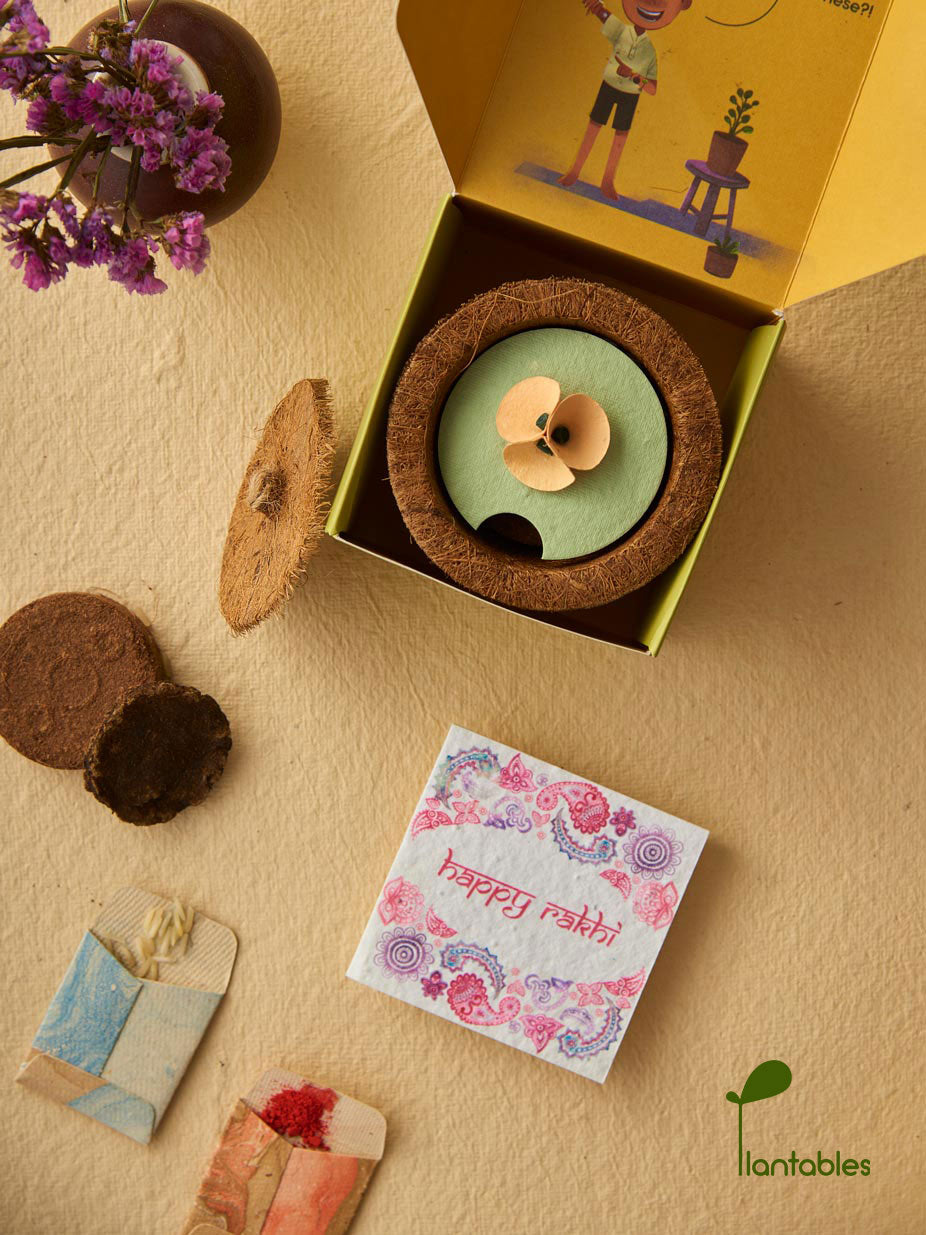 Plantables Pretty Pansy Rakhi Planting Kit