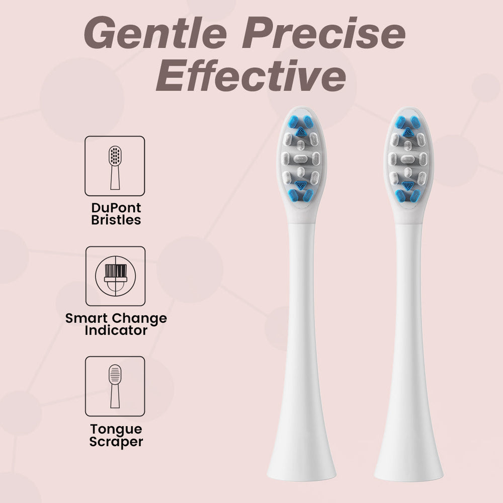 Dr. Dento Pro Series Brush Head