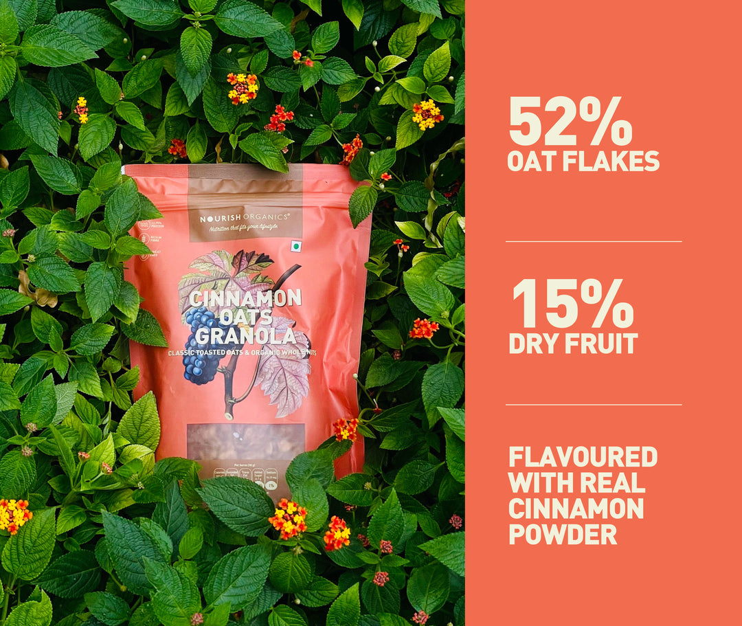 NOURISH ORGANICS Cinnamon Oats Granola