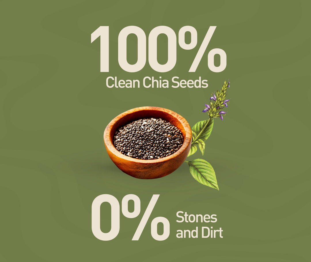 NOURISH ORGANICS Organic Chia Seeds (Pack of 2)