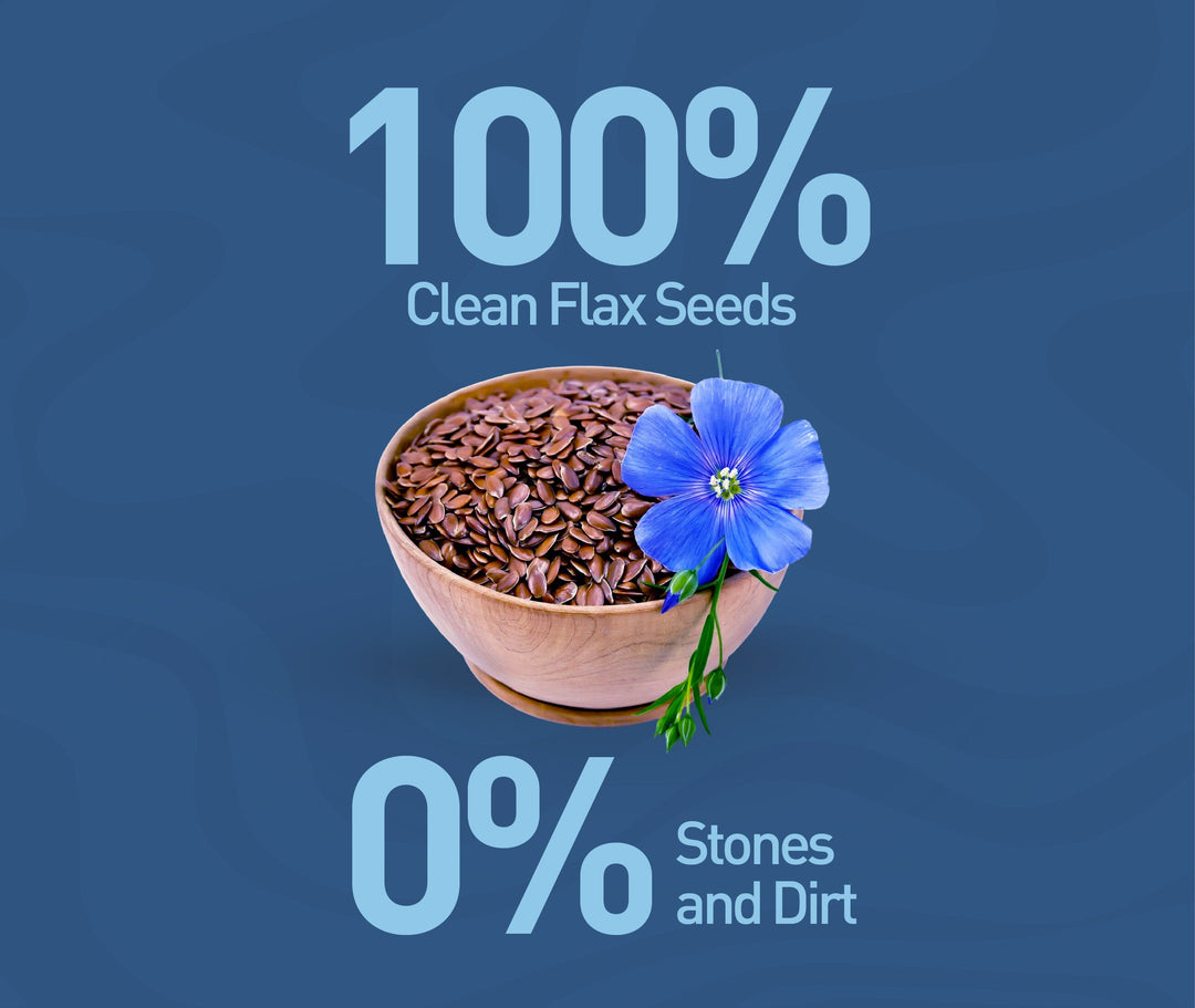 NOURISH ORGANICS Active Flax Seeds (Pack of 2)