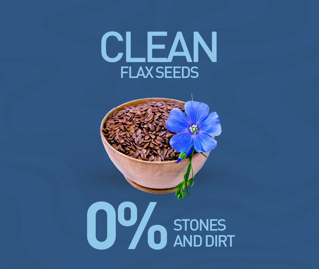 NOURISH ORGANICS Active Flax Seeds
