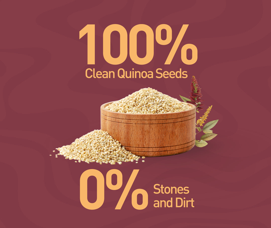 NOURISH ORGANICS Organic Quinoa Seeds – Protein-Rich Superfood | Nourish Organics