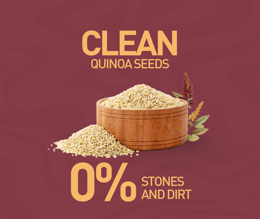 NOURISH ORGANICS Organic Quinoa Seeds – Protein-Rich Superfood | Nourish Organics