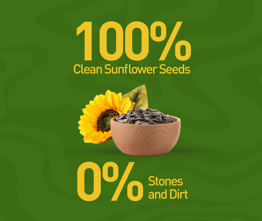 NOURISH ORGANICS Active Sunflower Seeds