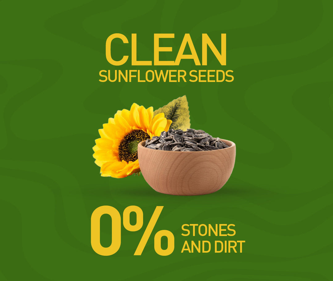 NOURISH ORGANICS Active Sunflower Seeds (Pack of 2)