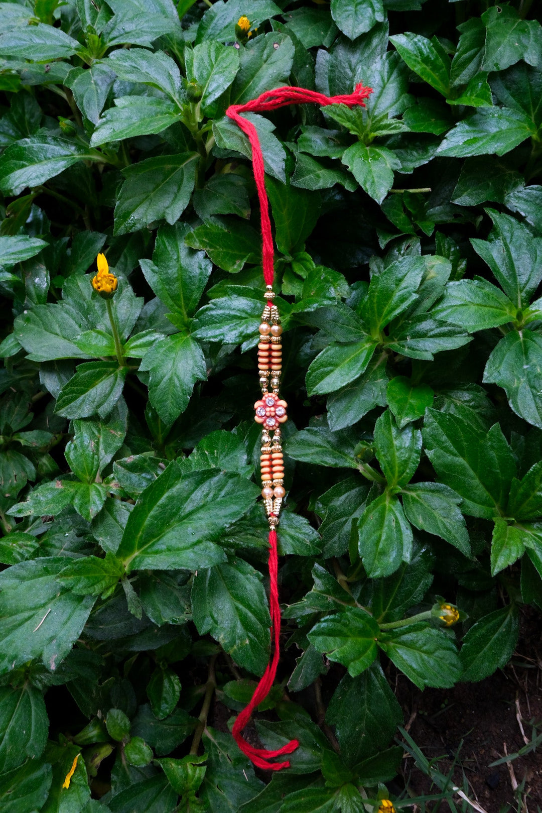 Traditional Rakhi with red thread and golden beads placed on fresh green leaves – handcrafted Indian rakhi for Raksha Bandhan gifting