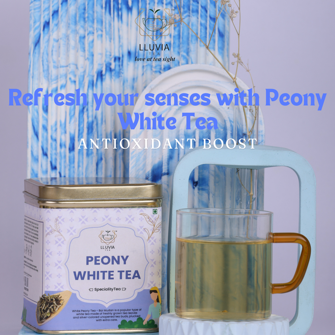 Lluvia Tea Peony White Tea - Rich in Antioxidants | Weight Loss | Improves Blood Circulation (50gm)