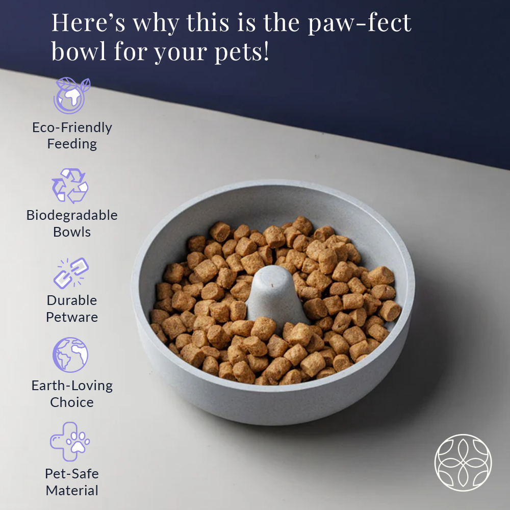 Irida Naturals Rice Husk Bubble Bowl Big - 900 ML