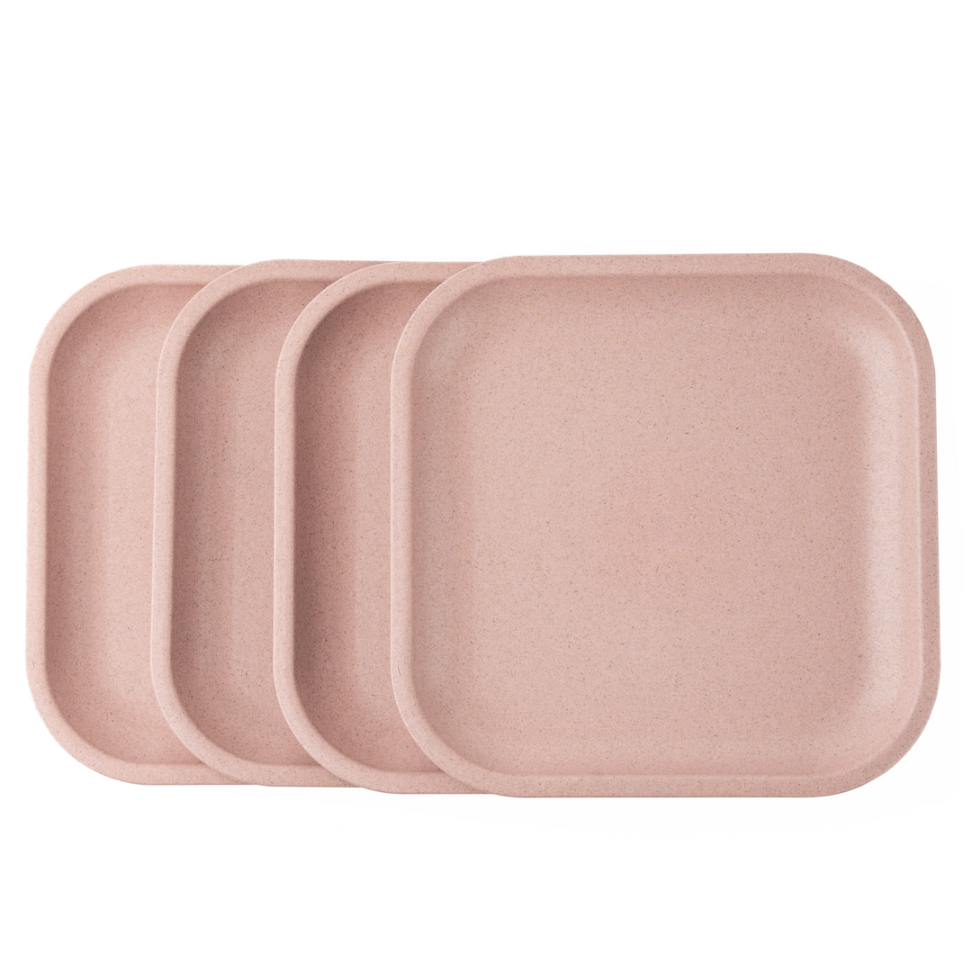 Rice Husk Snack Plates Set of 4