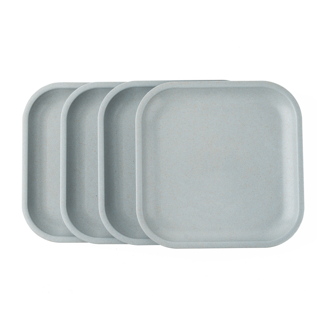 Rice Husk Snack Plates Set of 4