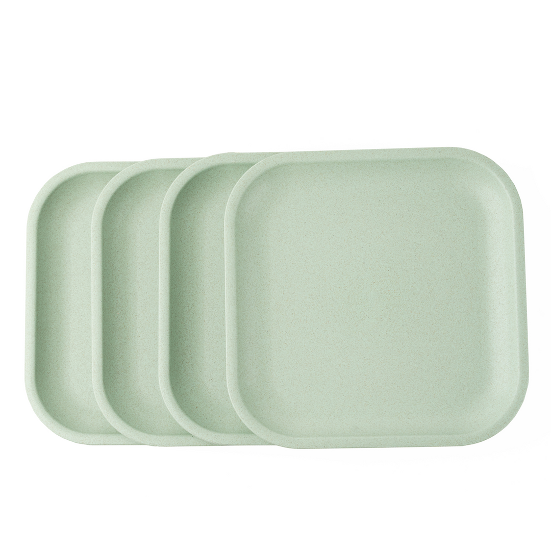 Rice Husk Snack Plates Set of 4