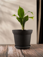 Irida Naturals Rice Husk and Bamboo Fiber Dahlia Pot and Planter - 10