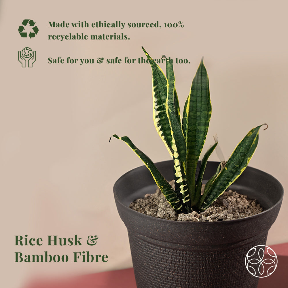 Irida Naturals Rice Husk and Bamboo Fiber Dahlia Pot and Planter - 10"-Set of 2