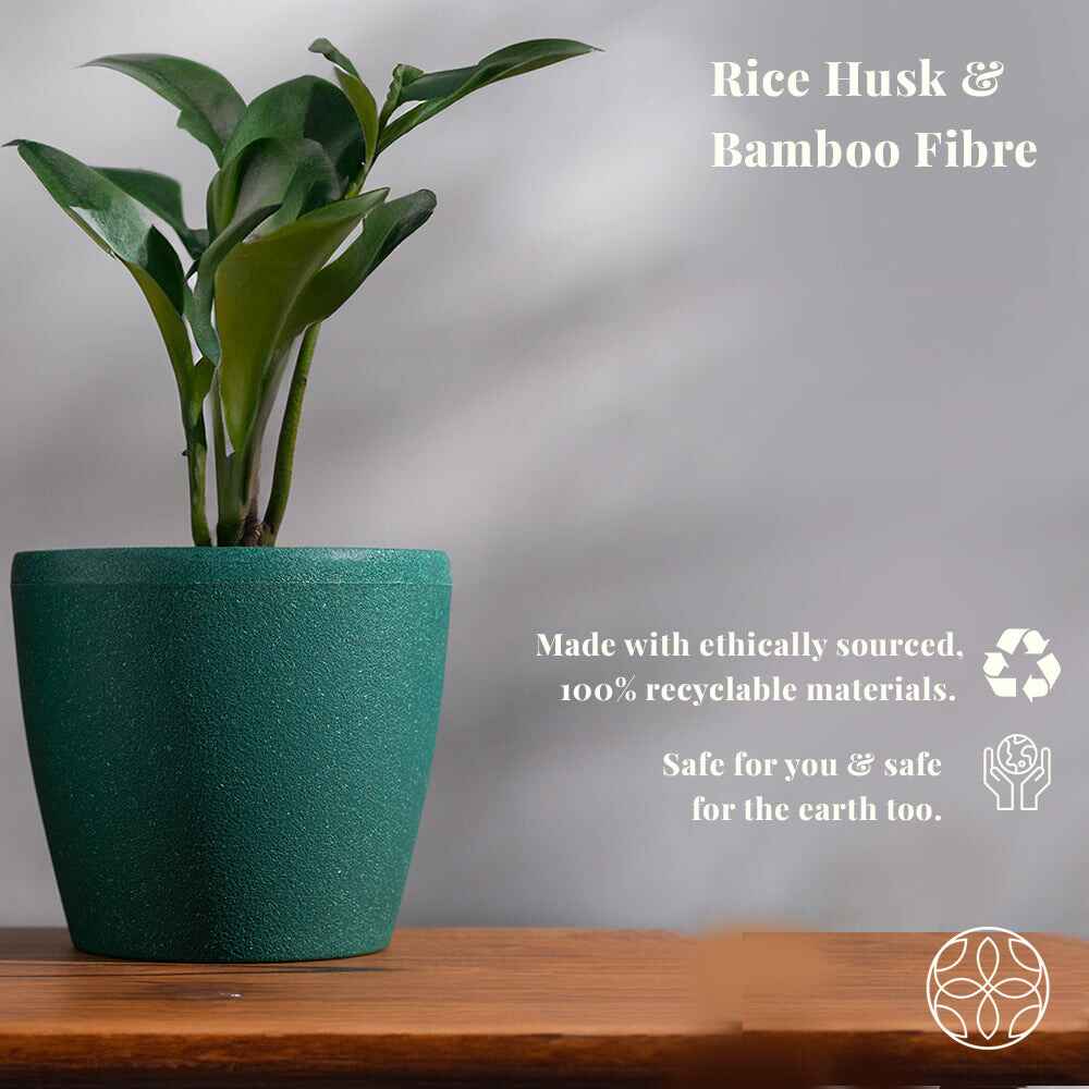 Irida Naturals Rice Husk and Bamboo Fiber Lily Pot and Planter - 7"- Set of 2