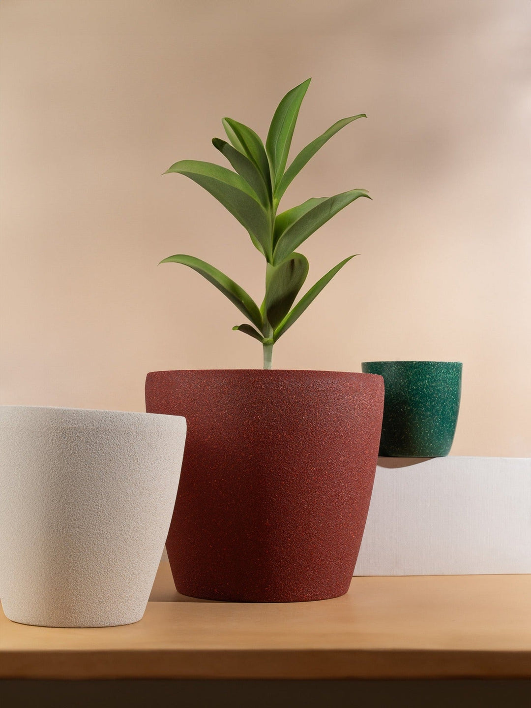 Irida Naturals Rice Husk and Bamboo Fiber Lily Pot and Planter - 9"- Set of 2