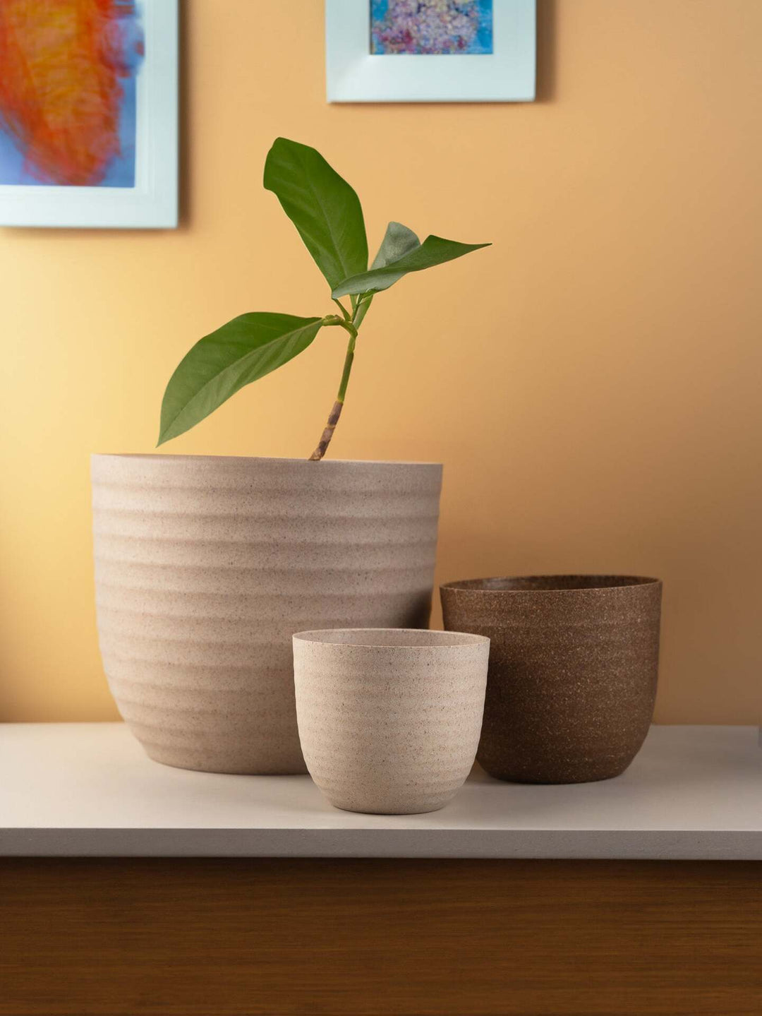 Irida Naturals Rice Husk and Bamboo Fiber Peony Pot and Planter - 4"- Set of 2