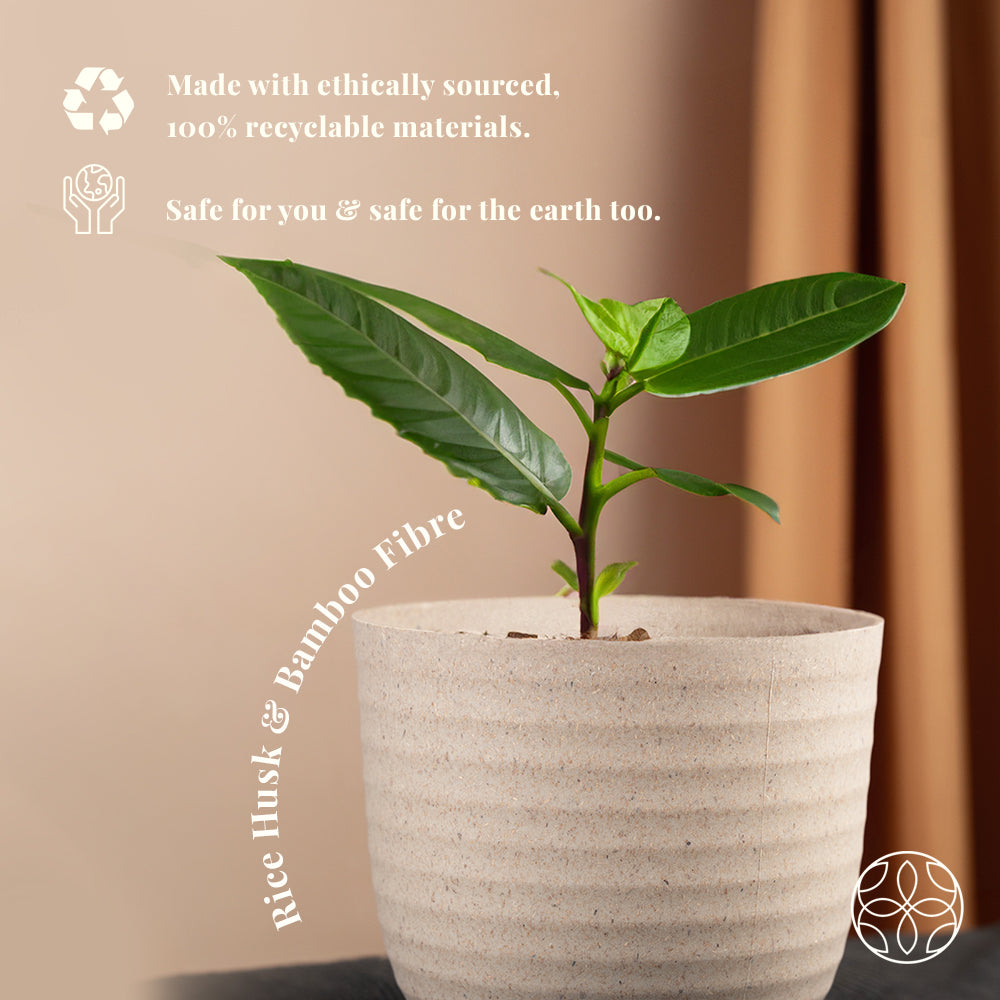 Irida Naturals Rice Husk and Bamboo Fiber Peony Pot and Planter - 4"- Set of 2