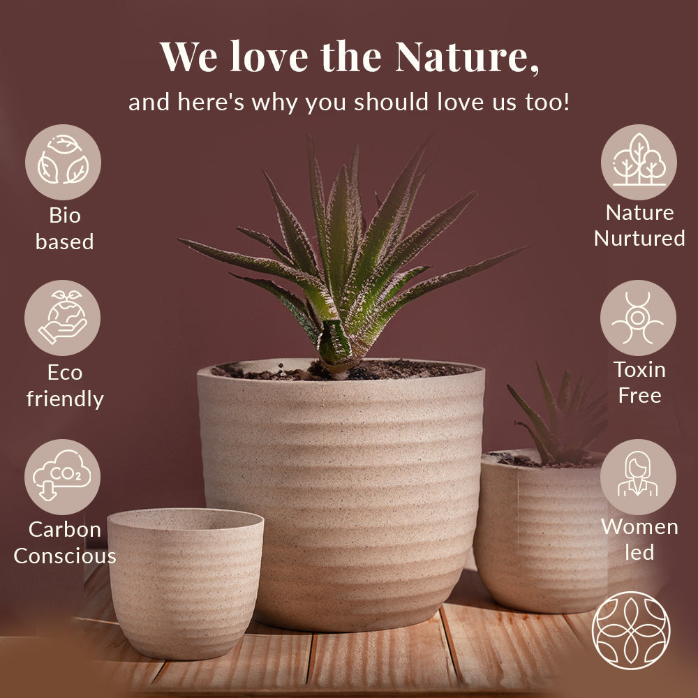 Irida Naturals Rice Husk and Bamboo Fiber Peony Pot and Planter - 4"- Set of 2