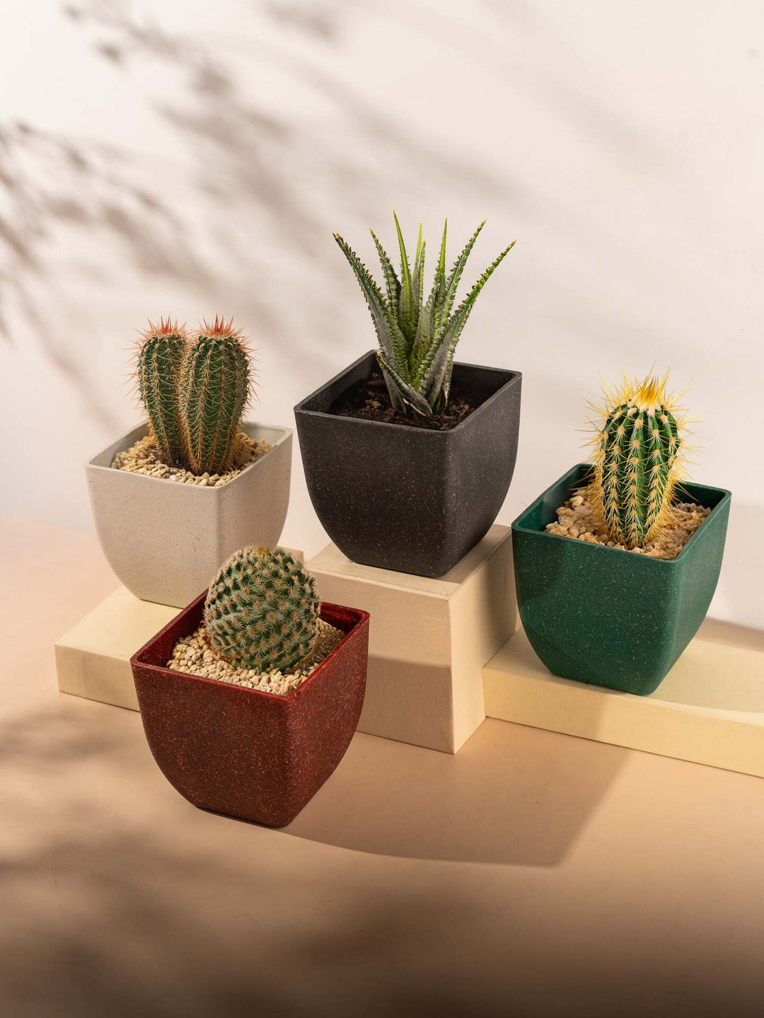 Irida Naturals Rice Husk and Bamboo Fiber Sakura Pot and Planter - 4"- Set of 2